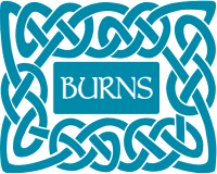 Burns